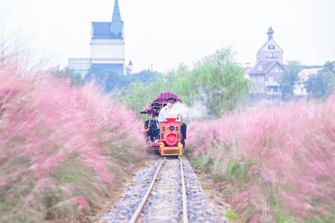 Wanghong train