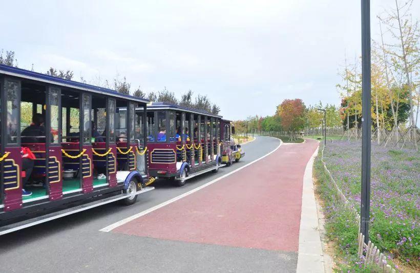 Trackless sightseeing train