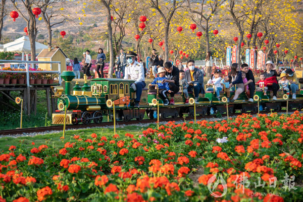 Wanghong train